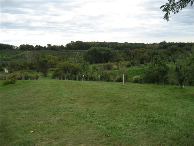 Apple Orchard &amp; Game Day