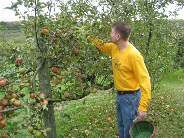Apple Orchard &amp; Game Day