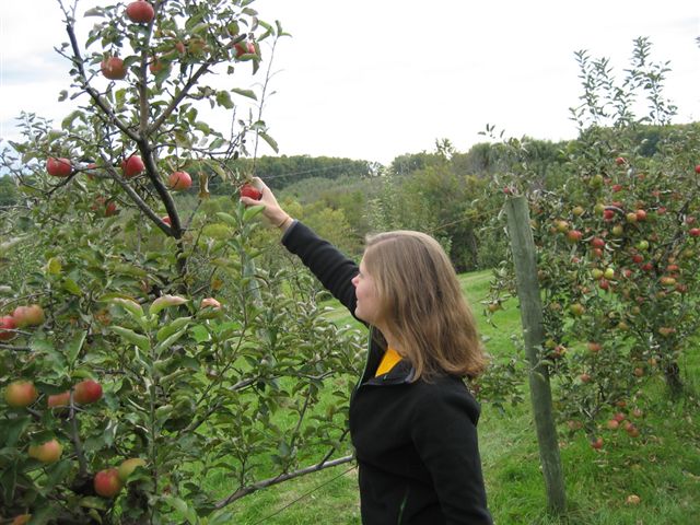 Apple Orchard &amp; Game Day