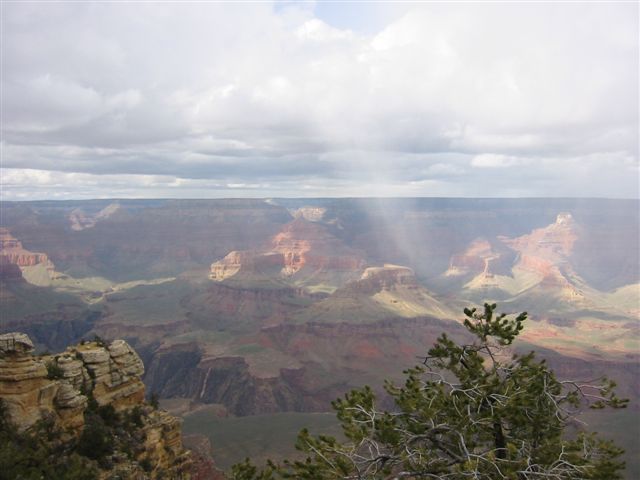 Arizona