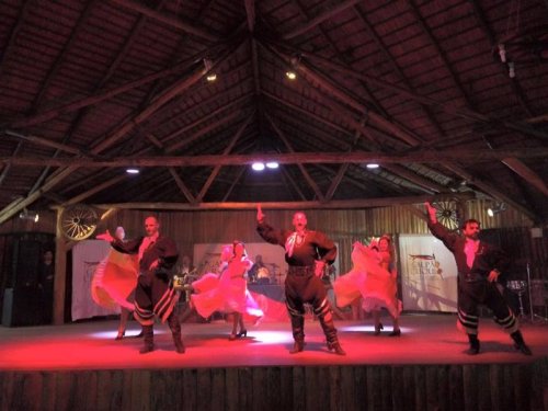 11261632_10206217786938467_939843498391098706_n