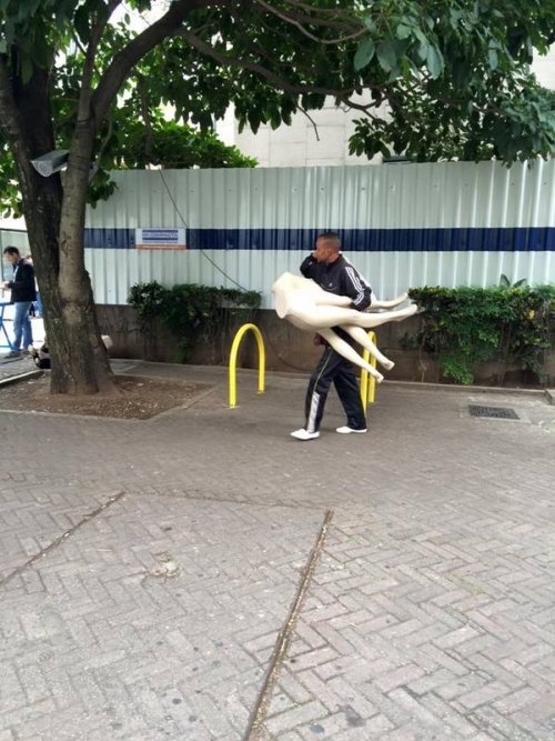 11986538_10206161772218134_3863424385313538236_n