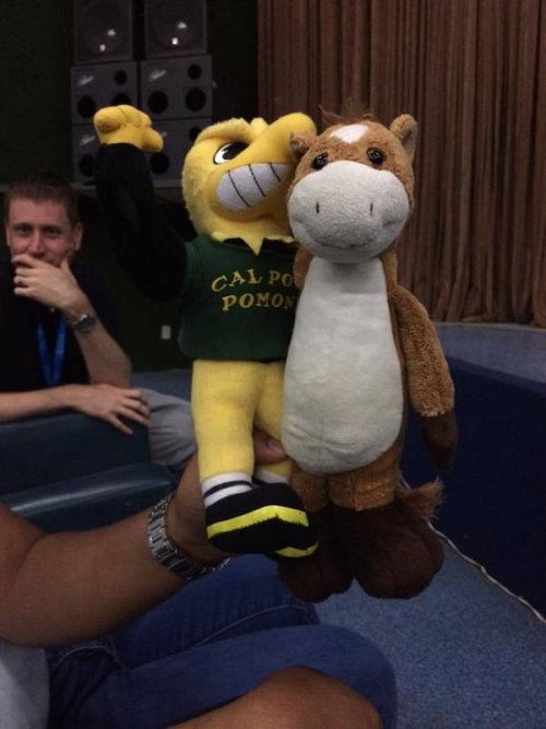 11998807_10101573577265536_220572515671659007_n