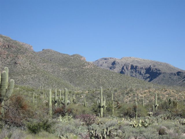 Cindy Visits AZ