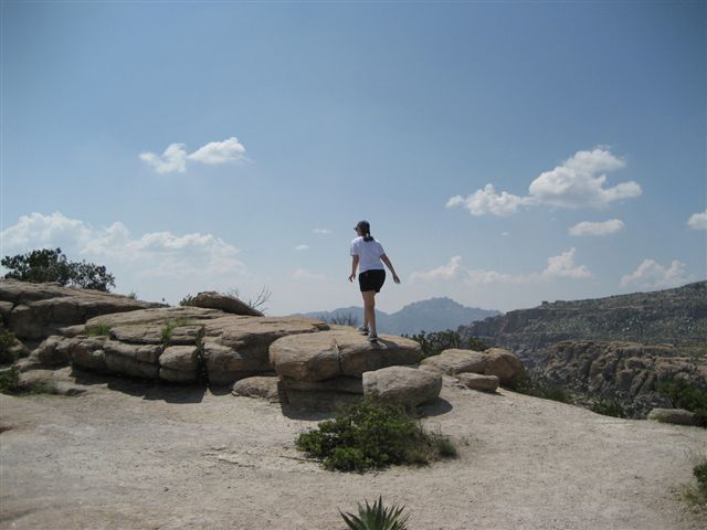 Mt Lemmon