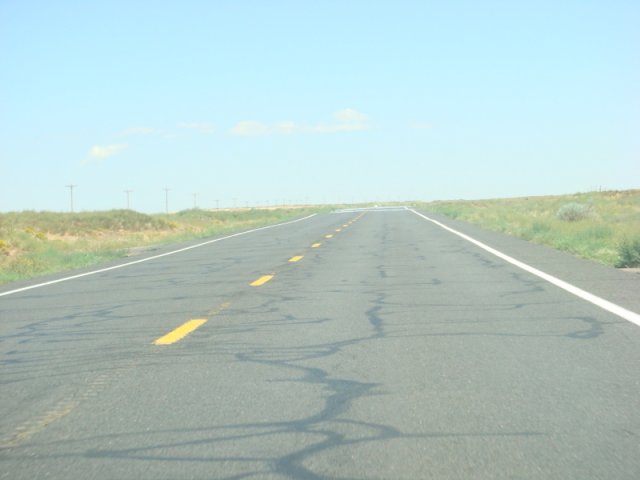 DSC08784