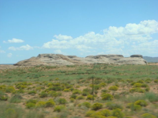 DSC08785