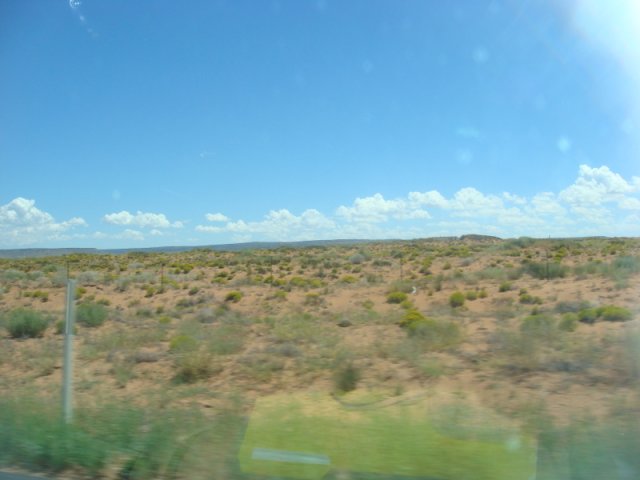 DSC08791