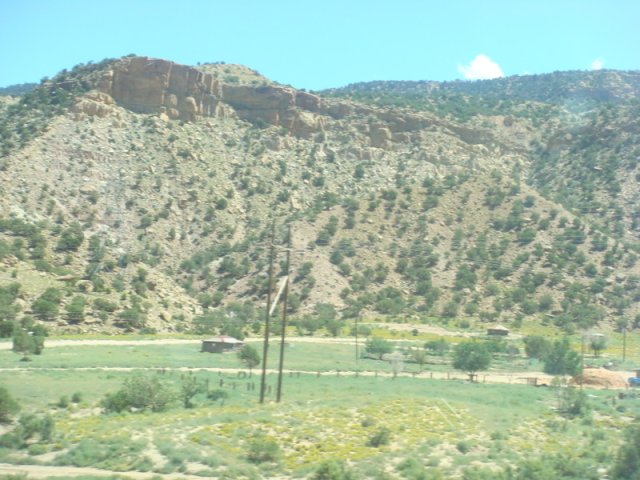 DSC08800