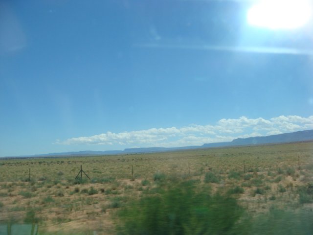 DSC08804