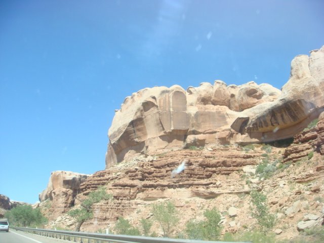 DSC08830