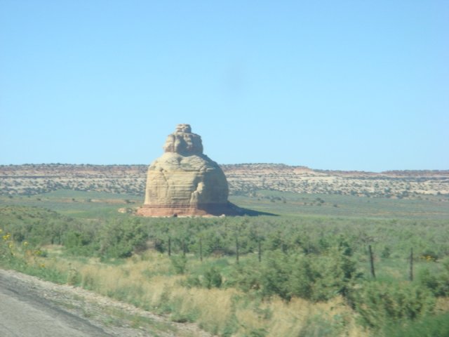 DSC08835