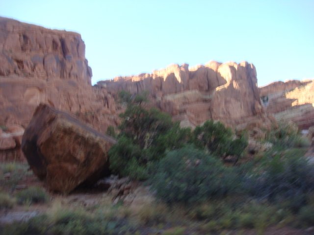 DSC08845