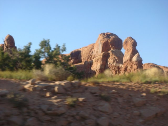 DSC08854