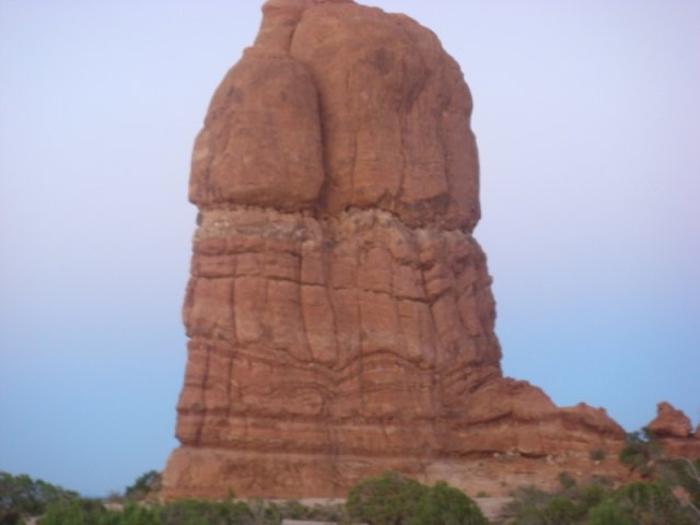 DSC08881