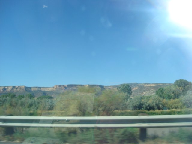DSC08894