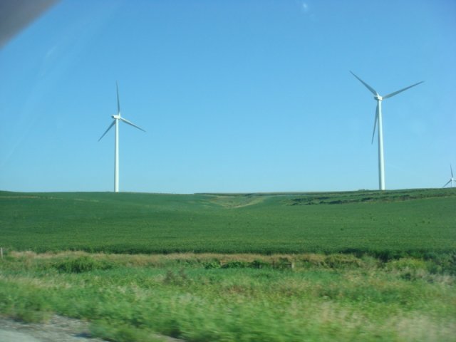 DSC08950