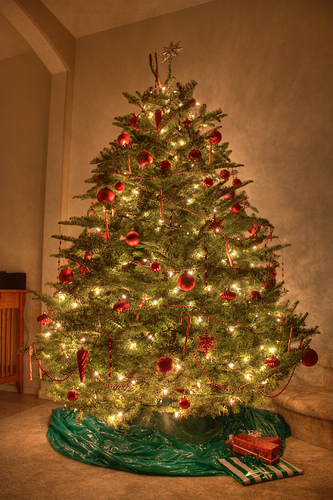 4186093471_13aa434a95